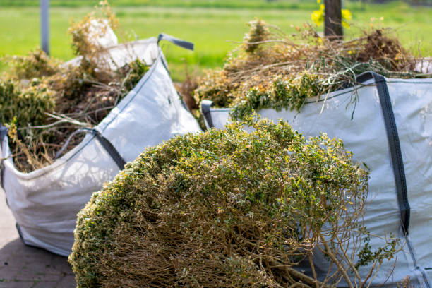 Best Shed Removal  in Weston, NJ
